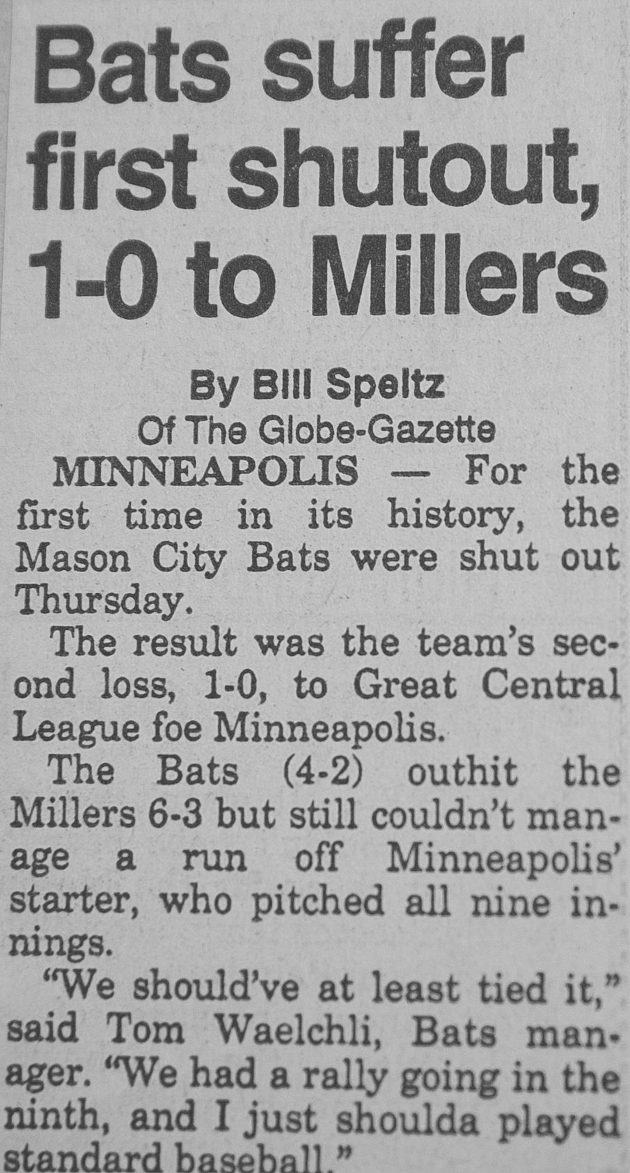 Bats Clips 12